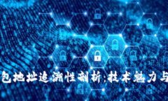 区块链钱包地址追溯性剖析：技术魅力与隐私挑