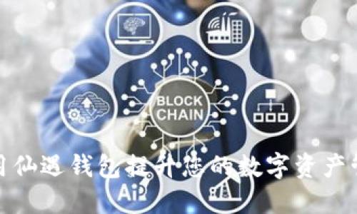 如何使用仙遇钱包提升您的数字资产管理体验