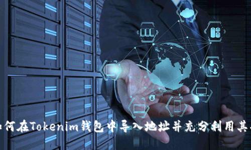 : 如何在Tokenim钱包中导入地址并充分利用其功能