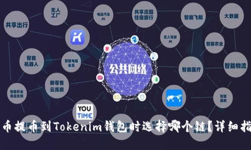 火币提币到Tokenim钱包时选择哪个链？详细指南