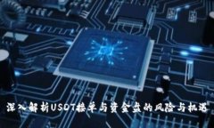 深入解析USDT接单与资金盘的风险与机遇